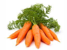 Carrot (गाजर)