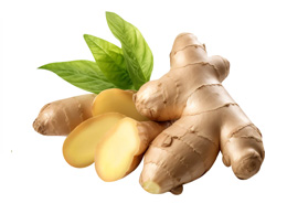 Ginger (अदरक)