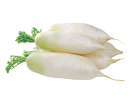 Radish (मूला)