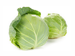 Cabbage (पत्तागोभी)