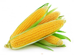 Sweet Corn (मिठी मकई)