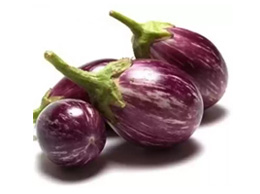 Brinjal (बैंगन)