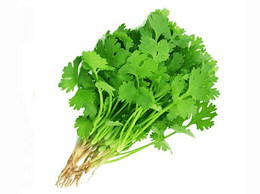 Coriander Leaves (धनिया पत्तियाँ)