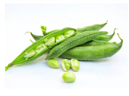 Green Hyacinth Bean (घुघुनी)