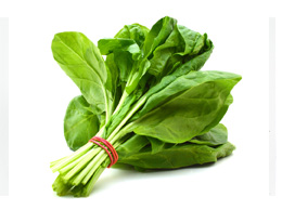 Spinach (पालक)